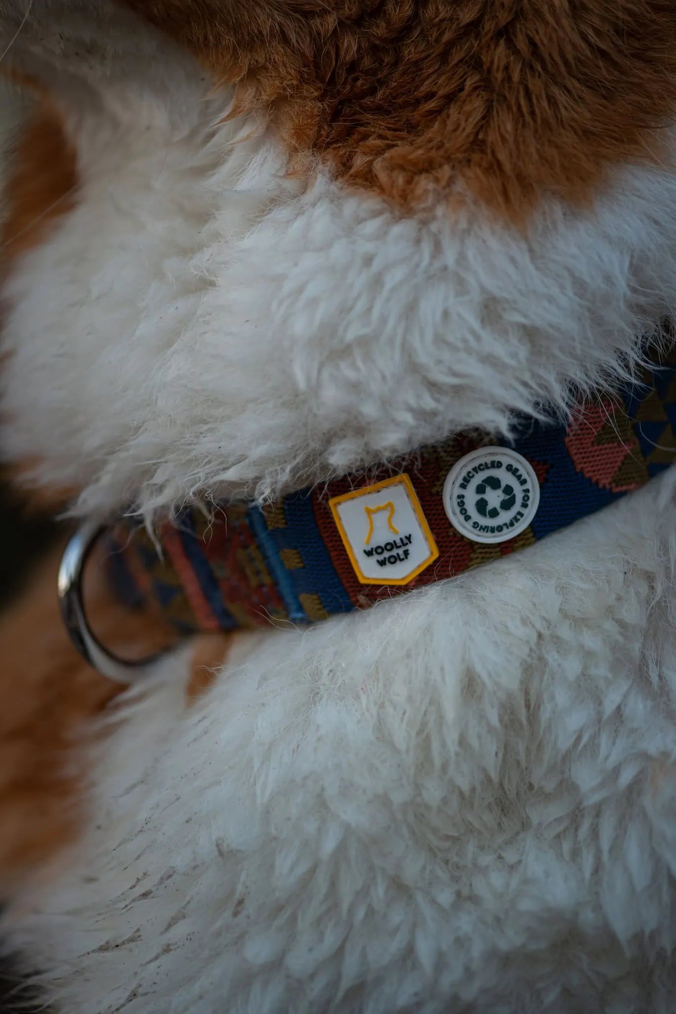 Woolly Wolf Nightless Night hundhalsband för stabil och bekväm passform vid promenader