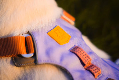 Lavendelfärgad Alpha 360 sele med fyra justeringspunkter och stabil konstruktion i återvunnen polyester