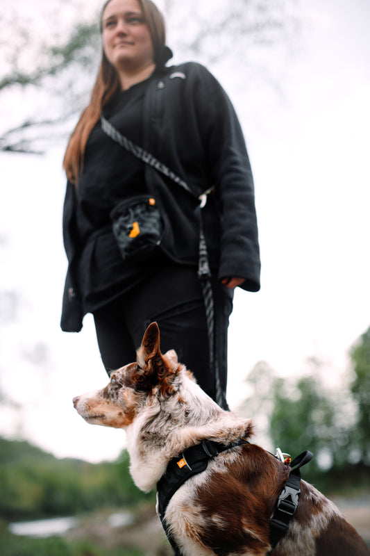 Svart Roam hundsele i meshmaterial med justerbara remmar och handtag på ryggen