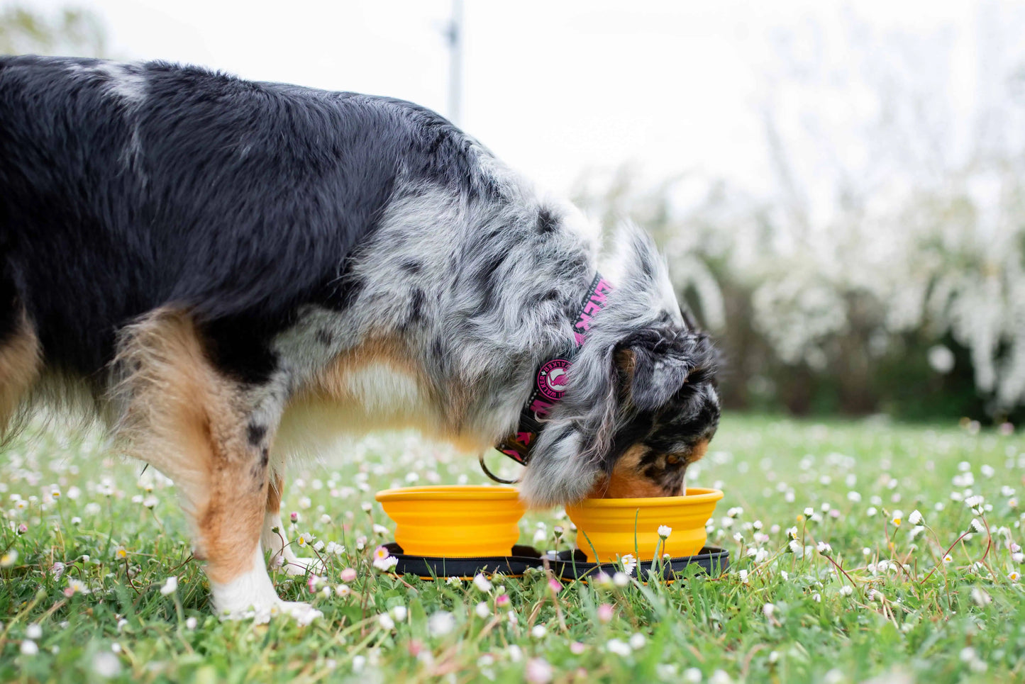 Reseskål Slowfeeder - Dubbel