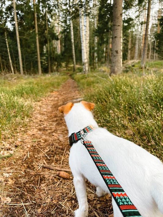 Woolly Wolf Woodland hundkoppel i mjuk tubvävd återvunnen polyester med rostfri karbinhake för dagliga promenader