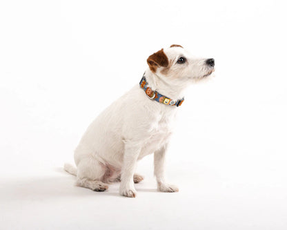 Woolly Wolf Nightless Night hundhalsband i återvunnen polyester för daglig användning