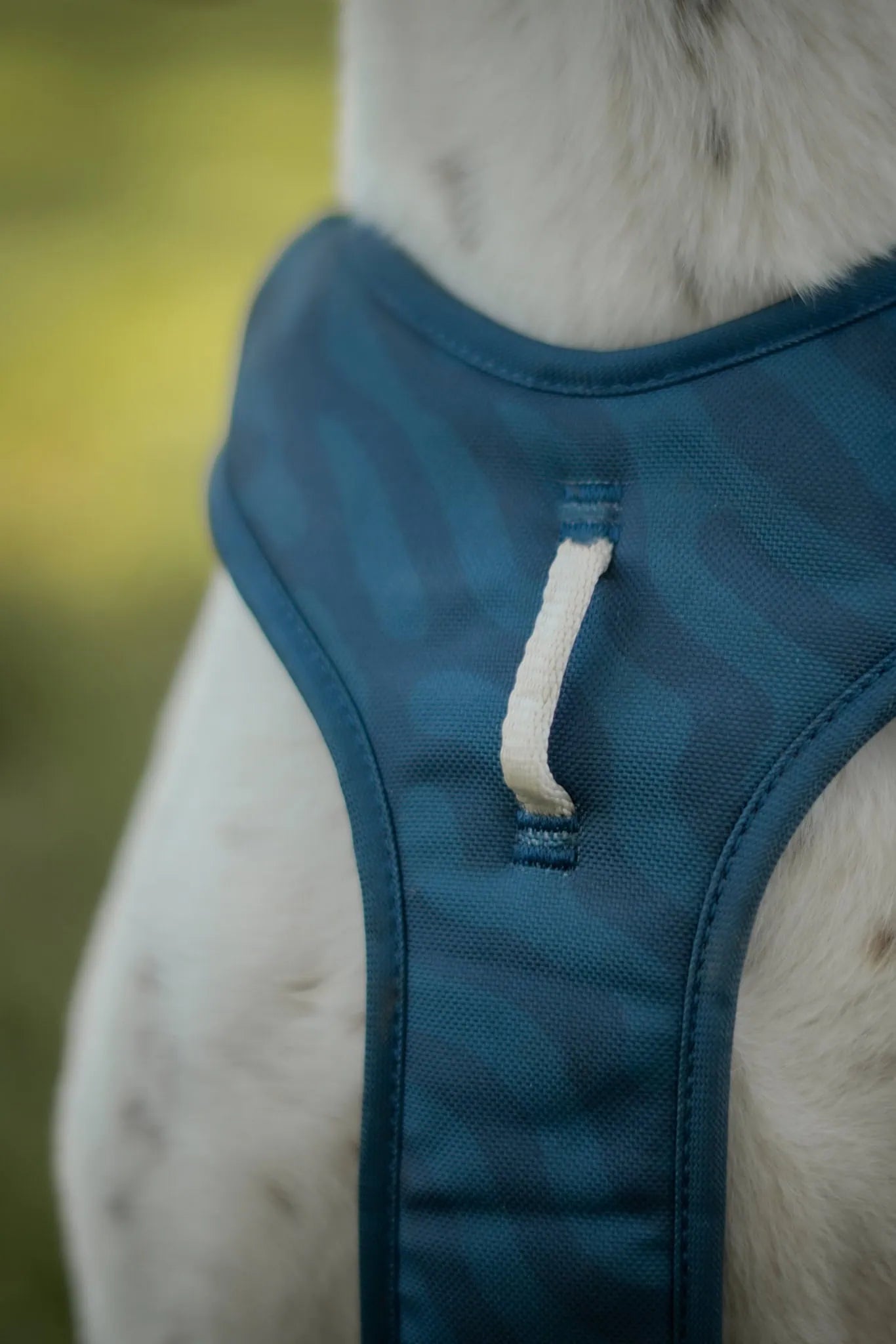 Woolly Wolf Roam hundsele med rygghandtag och aluminium V-ring för ökad kontroll