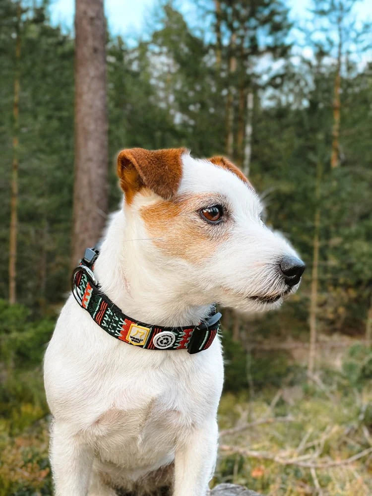 Naturinspirerat Woodland hundhalsband från Woolly Wolf med skonsam passform och säkert koppelfäste