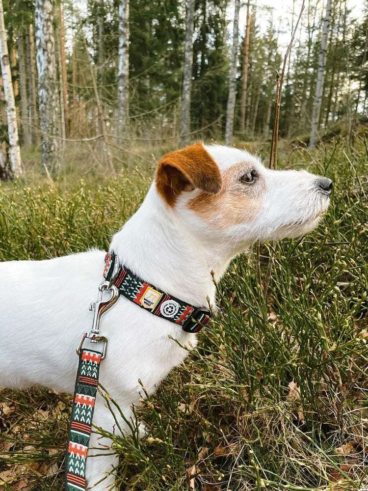 Woolly Wolf Woodland hundhalsband i tubulär väv av återvunnen polyester med nickelfri D-ring
